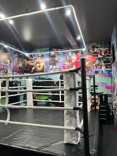 studio de boxe academias de boxe em criciuma